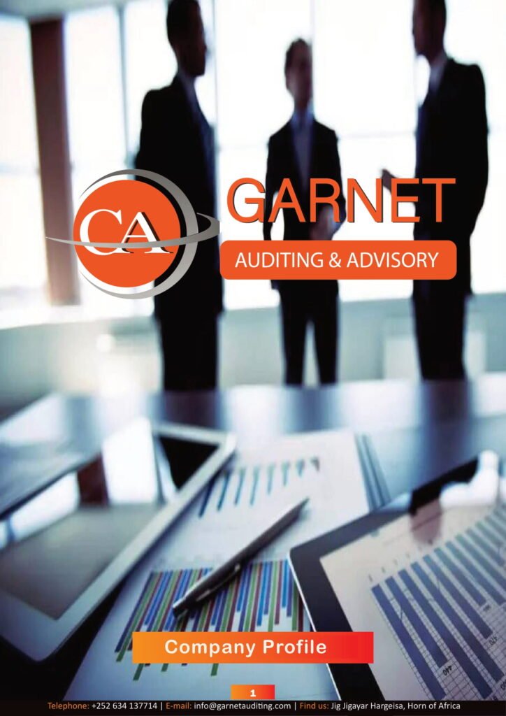 Garnet Auditing & Advisory company profile
