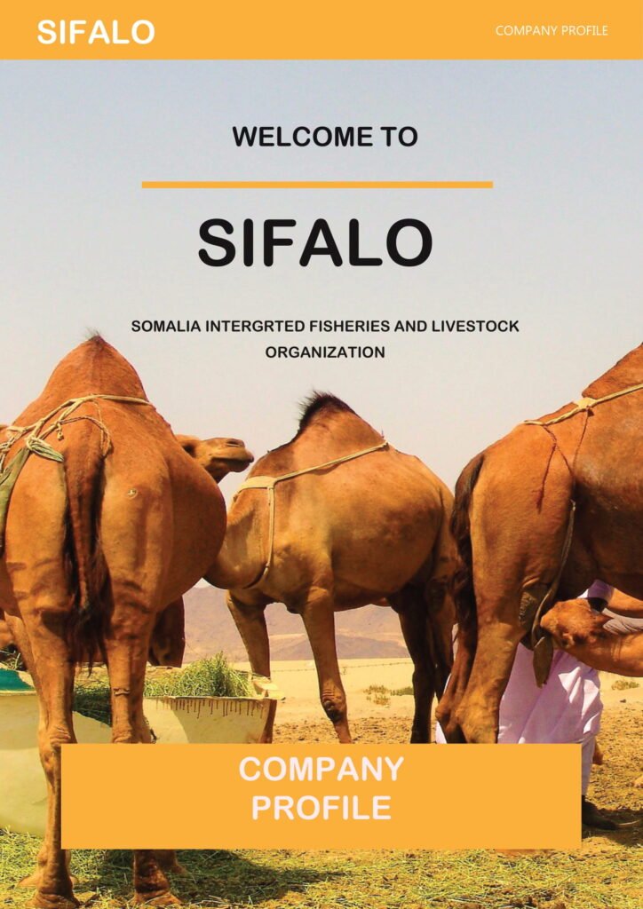 Sifalo company profile